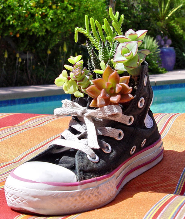 Shoe Planter