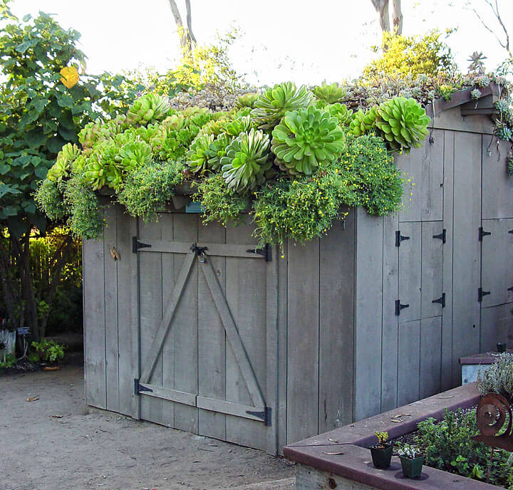 Shed